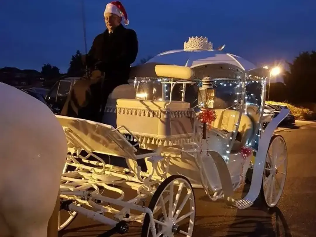 Traditional Horse-Drawn Prom Coaches