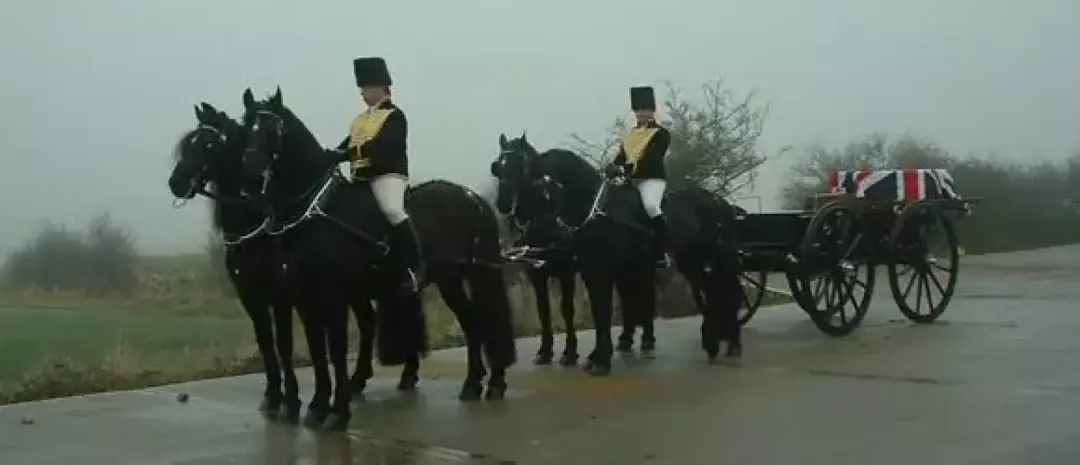 Best Horse Drawn Funeral Carriage Prices