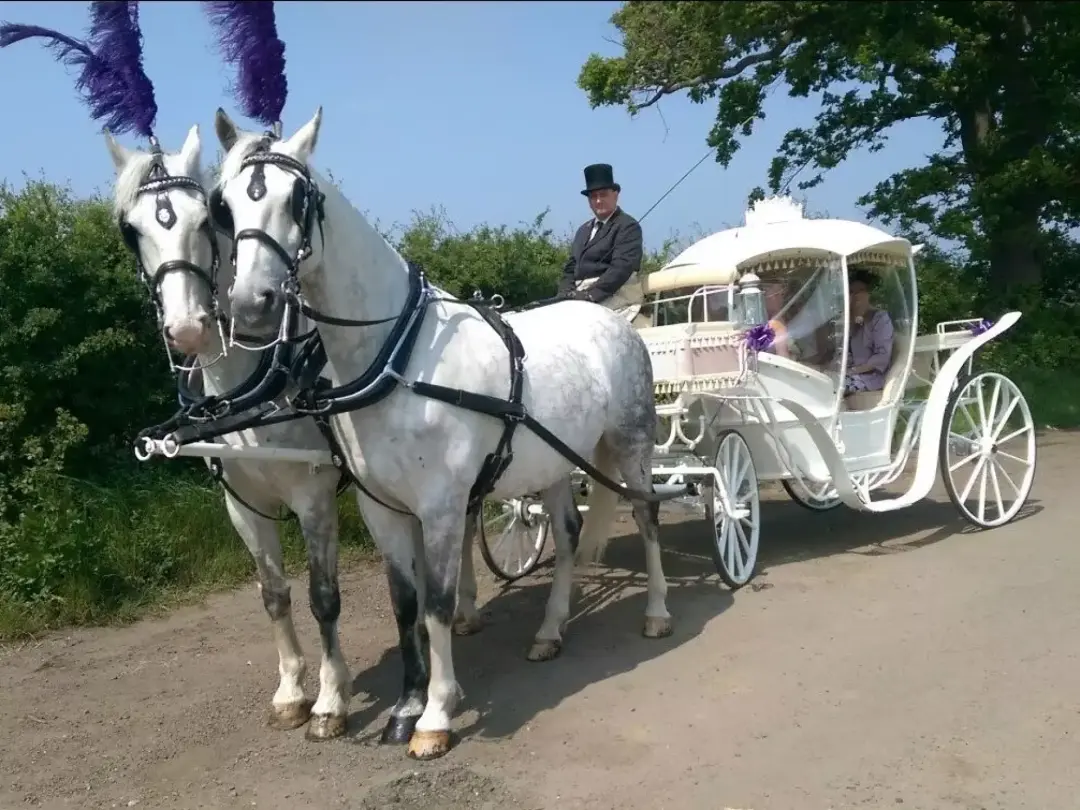 Hounslow Horse Drawn Carriages | Horse And Carriage Hire Hounslow